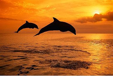 B社《星空》成就列表曝光 50项成就等你解锁