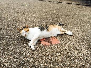 《光与影：33号远征队》全平台愿望单数量超100万